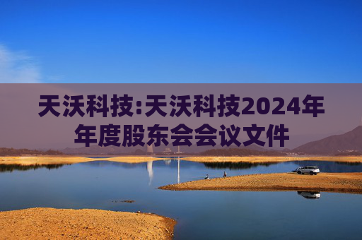 天沃科技:天沃科技2024年年度股东会会议文件  第1张