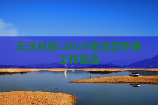 天沃科技:2024年度监事会工作报告  第1张