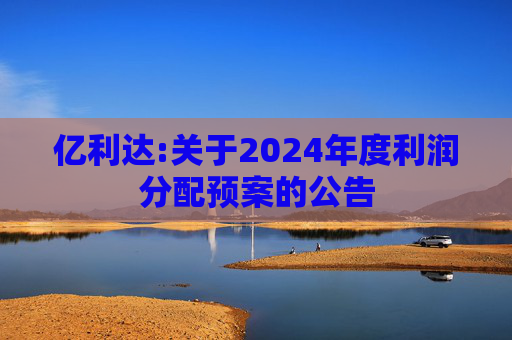亿利达:关于2024年度利润分配预案的公告  第1张