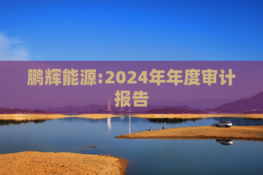 鹏辉能源:2024年年度审计报告