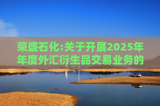 荣盛石化:关于开展2025年年度外汇衍生品交易业务的公告
