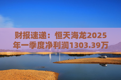 财报速递：恒天海龙2025年一季度净利润1303.39万元  第1张