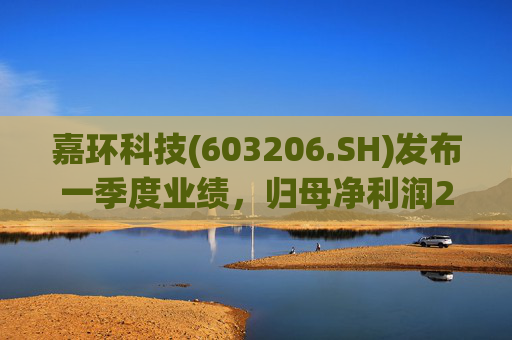 嘉环科技(603206.SH)发布一季度业绩，归母净利润2021.72万元，同比下降21.02%