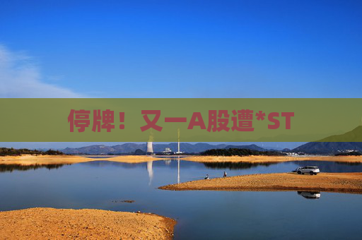 停牌！又一A股遭*ST  第1张