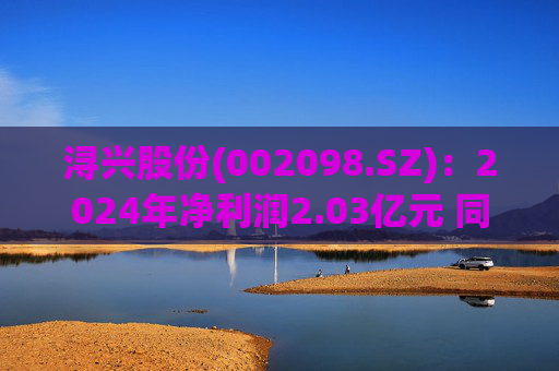 浔兴股份(002098.SZ)：2024年净利润2.03亿元 同比增长64.35%  第1张