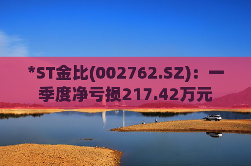 *ST金比(002762.SZ)：一季度净亏损217.42万元  第1张