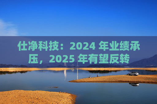 仕净科技：2024 年业绩承压，2025 年有望反转