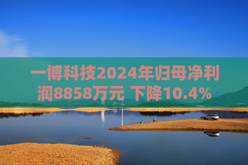 一博科技2024年归母净利润8858万元 下降10.4%