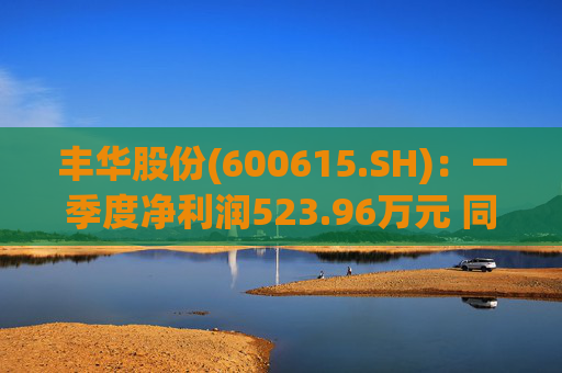 丰华股份(600615.SH)：一季度净利润523.96万元 同比增长645.11%  第1张