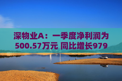 深物业A：一季度净利润为500.57万元 同比增长979.79%  第1张