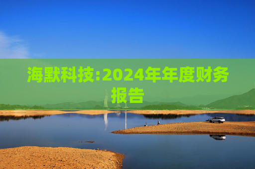 海默科技:2024年年度财务报告