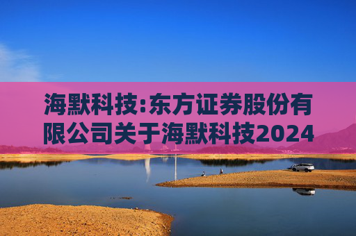 海默科技:东方证券股份有限公司关于海默科技2024年年度持续督导跟踪报告  第1张