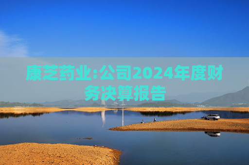 康芝药业:公司2024年度财务决算报告  第1张