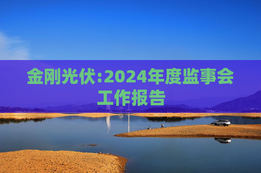 金刚光伏:2024年度监事会工作报告  第1张