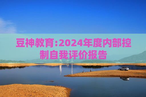 豆神教育:2024年度内部控制自我评价报告  第1张