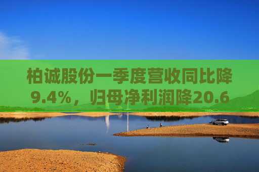 柏诚股份一季度营收同比降9.4%,归母净利润降20.6%
