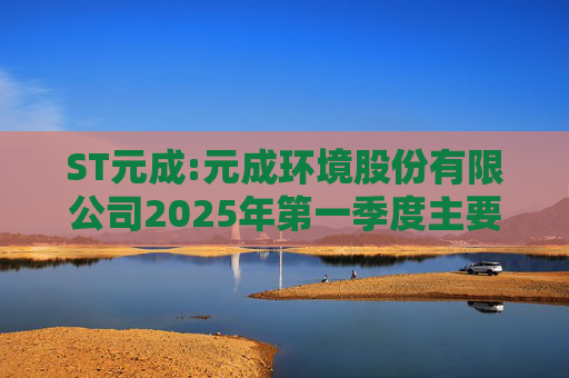 ST元成:元成环境股份有限公司2025年第一季度主要经营数据的公告  第1张