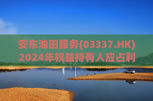 安东油田服务(03337.HK)2024年权益持有人应占利润2.43亿元 同比增长约23.5%  第1张