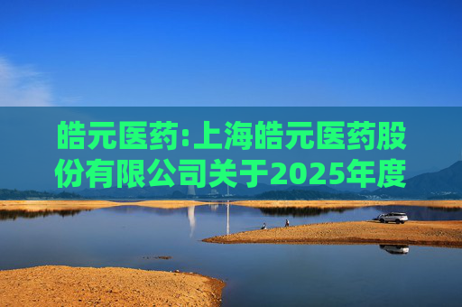 皓元医药:上海皓元医药股份有限公司关于2025年度日常关联交易预计的公告