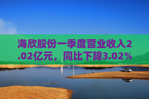 海欣股份一季度营业收入2.02亿元，同比下降3.02%