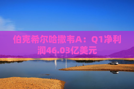 伯克希尔哈撒韦A：Q1净利润46.03亿美元