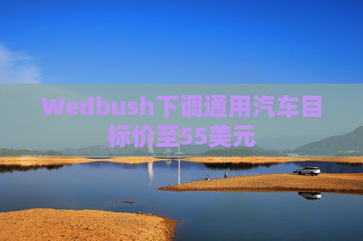 Wedbush下调通用汽车目标价至55美元  第1张