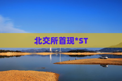 北交所首现*ST 第1张 北交所首现*ST 第1张