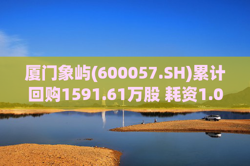 厦门象屿(600057.SH)累计回购1591.61万股 耗资1.03亿元 第1张 厦门象屿(600057.SH)累计回购1591.61万股 耗资1.03亿元 第1张