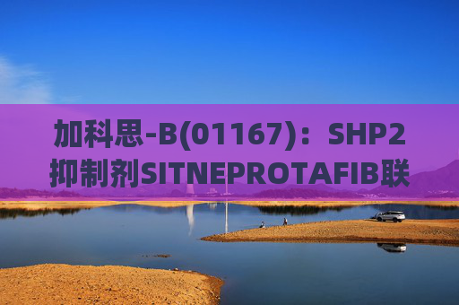 加科思-B(01167)：SHP2抑制剂SITNEPROTAFIB联用研究数据发表于学术期刊