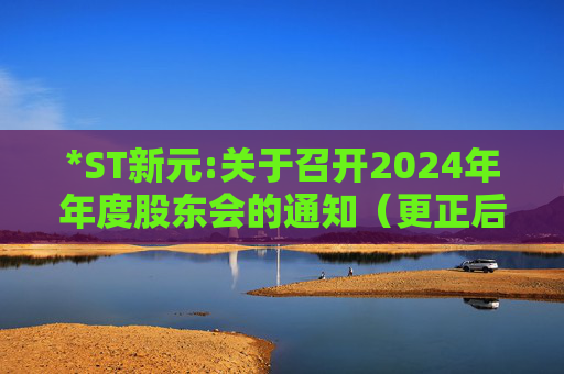 *ST新元:关于召开2024年年度股东会的通知（更正后）