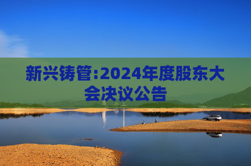 新兴铸管:2024年度股东大会决议公告