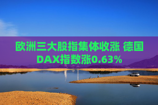 欧洲三大股指集体收涨 德国DAX指数涨0.63%  第1张