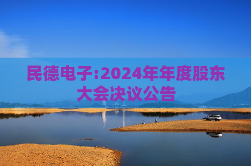 民德电子:2024年年度股东大会决议公告