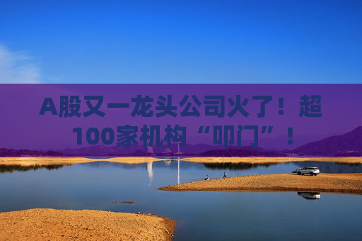 A股又一龙头公司火了！超100家机构“叩门”！