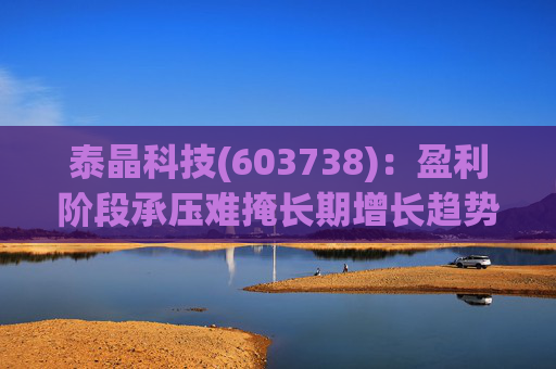泰晶科技(603738)：盈利阶段承压难掩长期增长趋势 加码车规高附加值产品序列  第1张