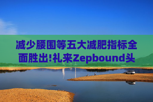 减少腰围等五大减肥指标全面胜出!礼来Zepbound头对头试验碾压诺和诺德(NVO.US)Wegovy  第1张