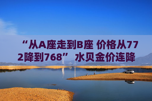 “从A座走到B座 价格从772降到768” 水贝金价连降三日!机构调整预期 第1张 “从A座走到B座 价格从772降到768” 水贝金价连降三日!机构调整预期 第1张
