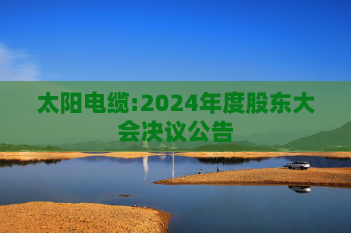 太阳电缆:2024年度股东大会决议公告