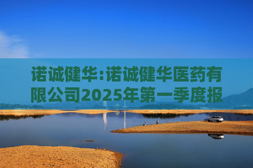 诺诚健华:诺诚健华医药有限公司2025年第一季度报告  第1张