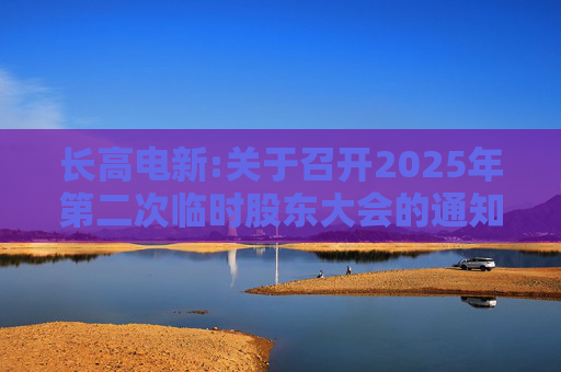 长高电新:关于召开2025年第二次临时股东大会的通知  第1张