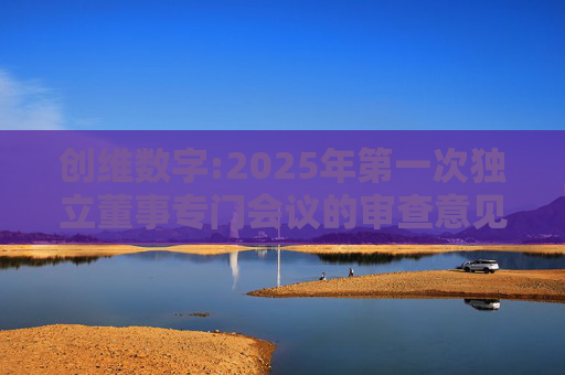 创维数字:2025年第一次独立董事专门会议的审查意见  第1张