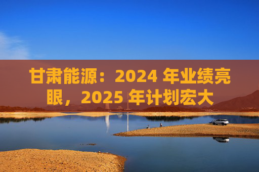 甘肃能源:2024 年业绩亮眼,2025 年计划宏大