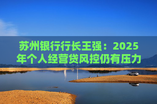 苏州银行行长王强：2025年个人经营贷风控仍有压力，但不会造成冲击  第1张