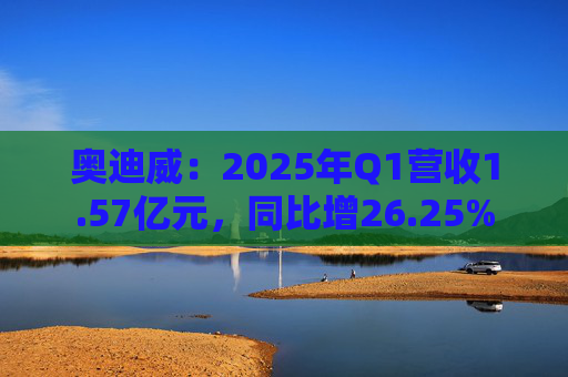 奥迪威：2025年Q1营收1.57亿元，同比增26.25%  第1张