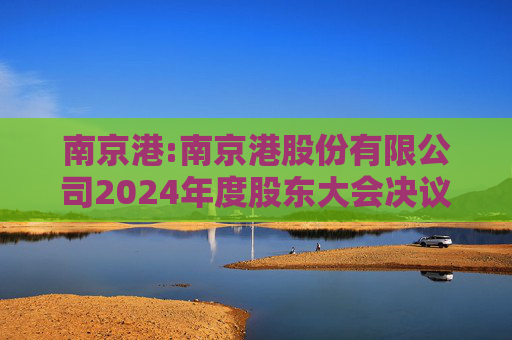 南京港:南京港股份有限公司2024年度股东大会决议公告
