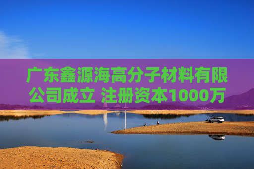 广东鑫源海高分子材料有限公司成立 注册资本1000万人民币  第1张