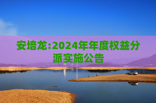 安培龙:2024年年度权益分派实施公告