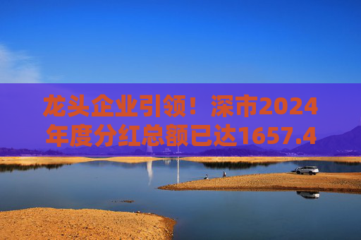 龙头企业引领!深市2024年度分红总额已达1657.47亿元