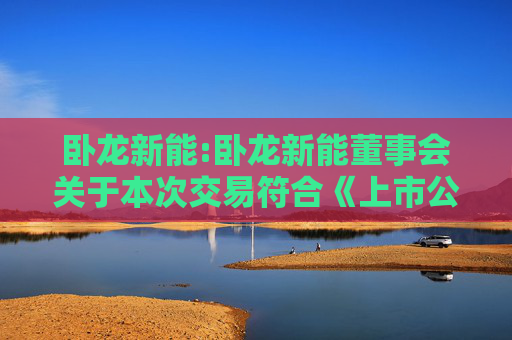 卧龙新能:卧龙新能董事会关于本次交易符合《上市公司重大资产重组管理办法》第十一条有关规定的说明