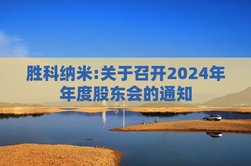 胜科纳米:关于召开2024年年度股东会的通知